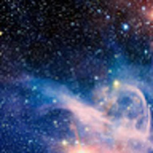 Meet your Posher, Mckenzie